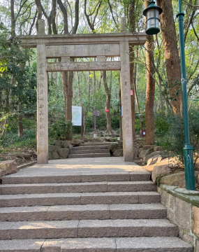 登山